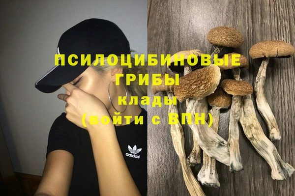 скорость Гусь-Хрустальный