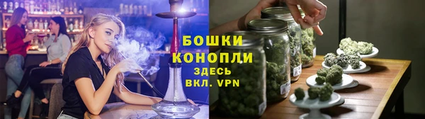 метадон Гусев