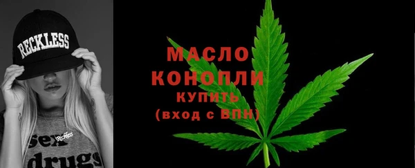 амф Дмитриев