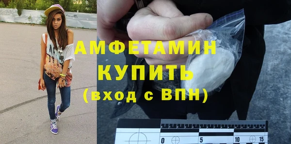 амф Дмитриев