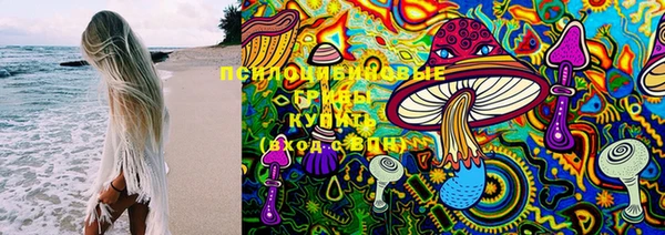 амф Дмитриев